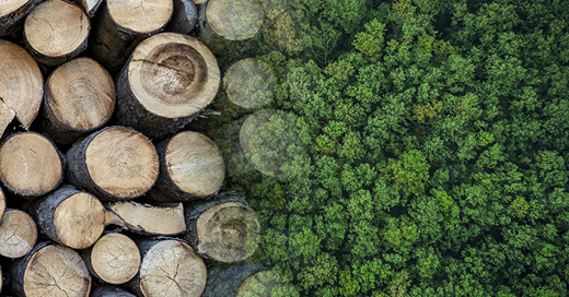 HUET et le label FSC® C104874